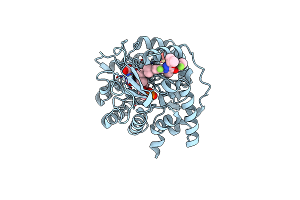 6SYP image