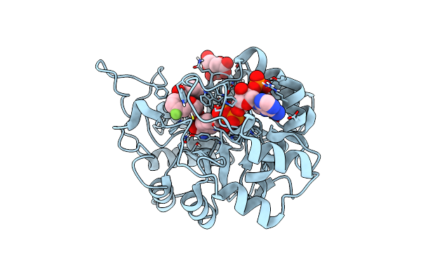 6SYW image