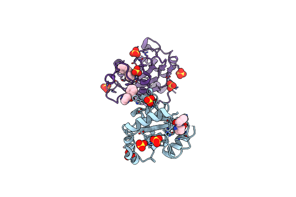 6T02 image