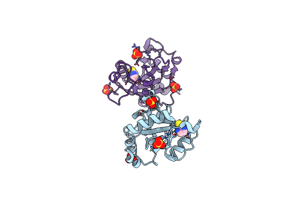 6T03 image