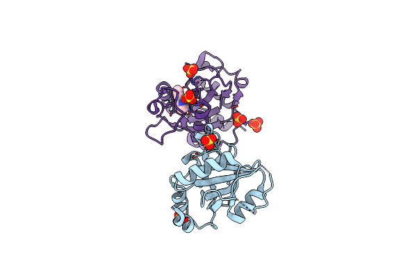 6T04 image