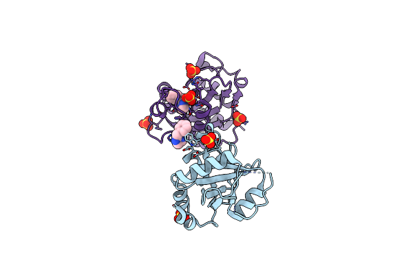 6T05 image