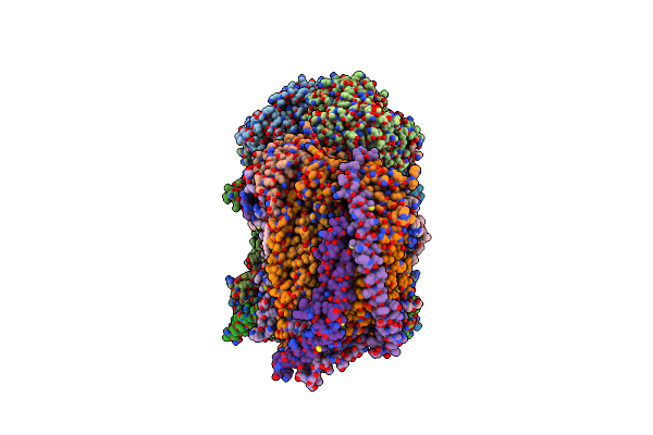 6T0B image