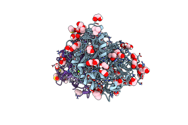 6T0E image