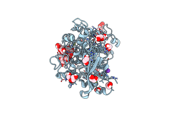 6T0I image