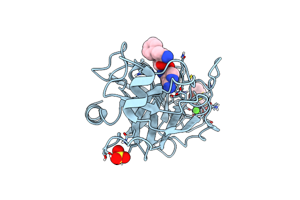 6T0P image