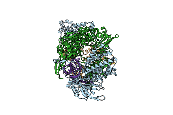 6T0R image
