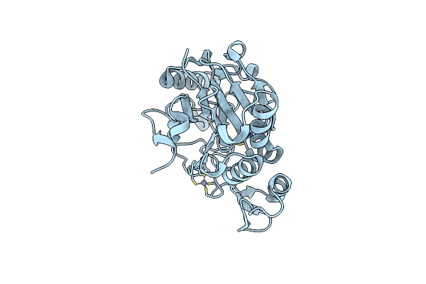 6T0Y image