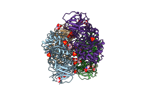 6T13 image