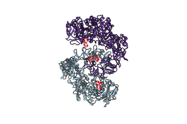 6T16 image