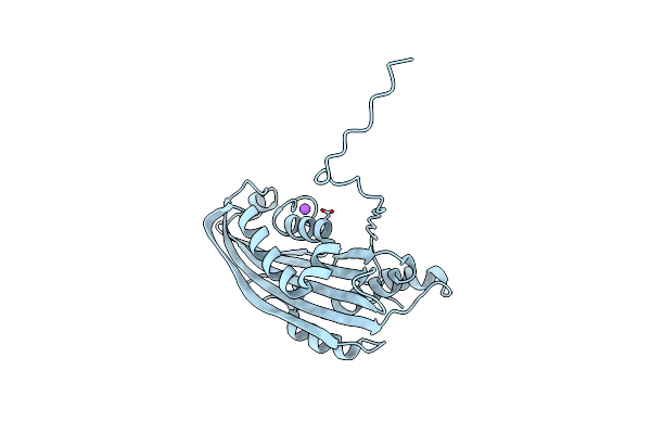 6T19 image