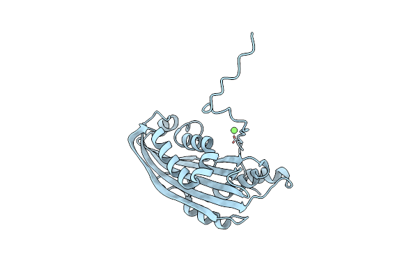 6T1A image