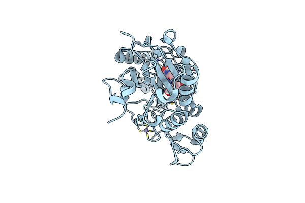6T1B image