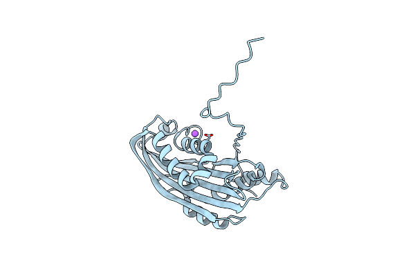 6T1C image