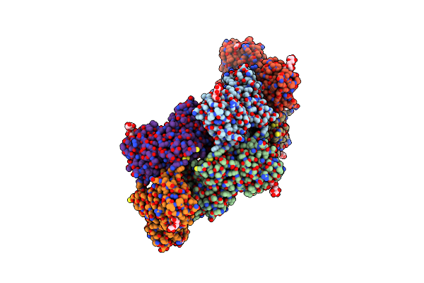 6T1D image