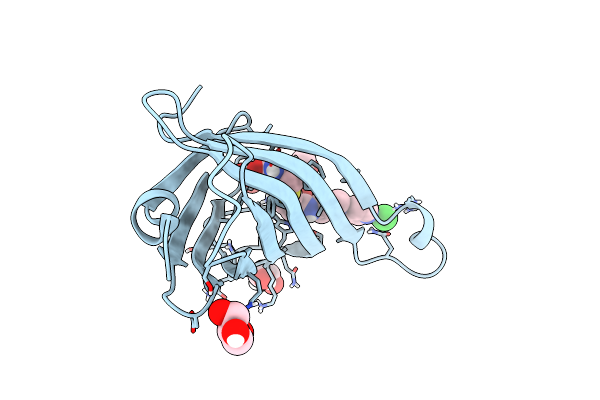 6T1E image