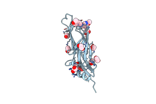 6T1I image