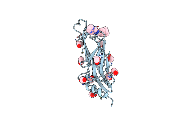 6T1L image