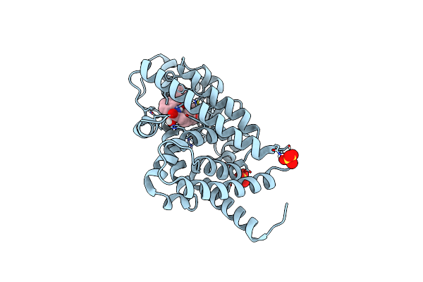 6T1S image
