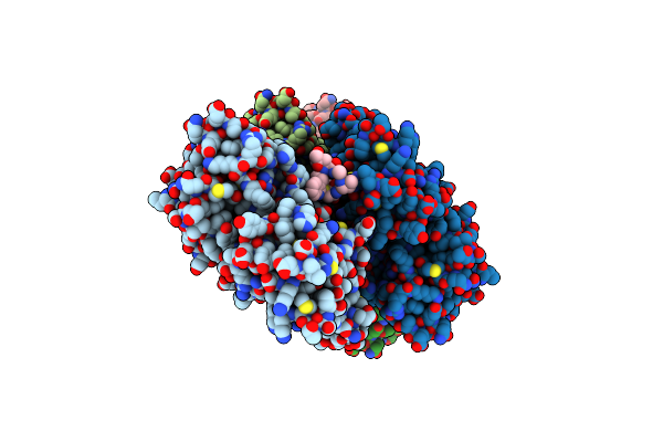 6T20 image