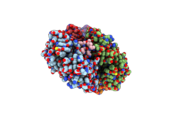 6T24 image