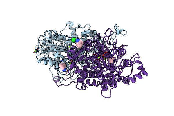 6T26 image