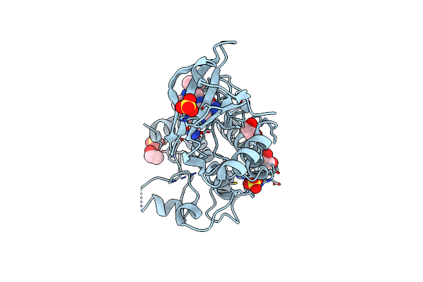 6T28 image
