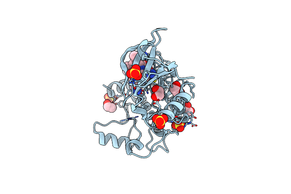 6T29 image