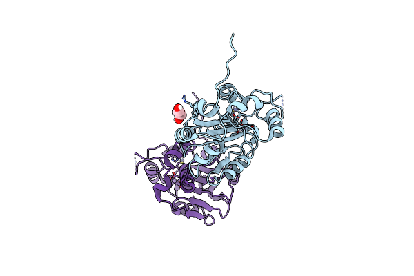 6T2A image
