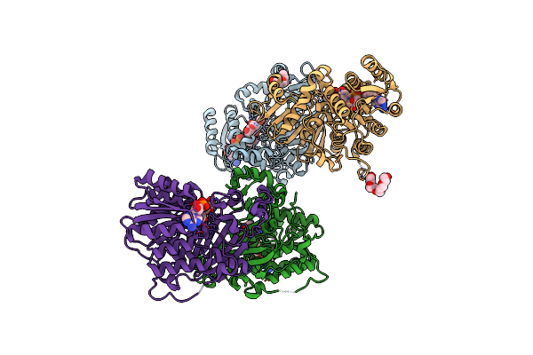 6T2B image