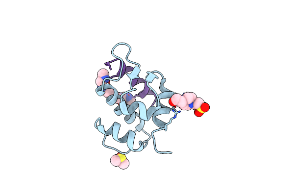 6T2D image