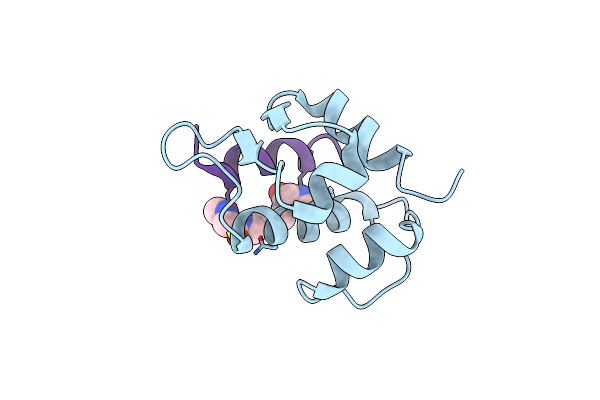 6T2F image