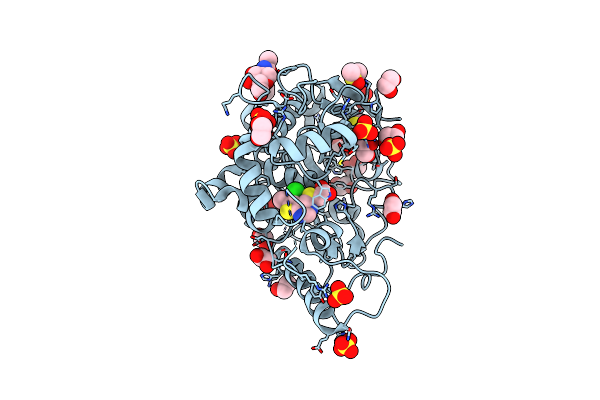 6T2H image