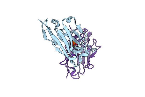 6T2J image