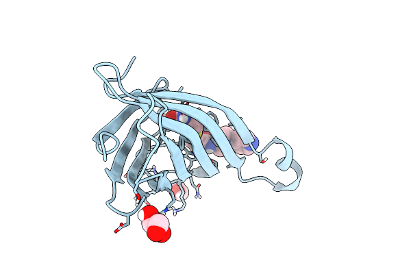 6T2L image