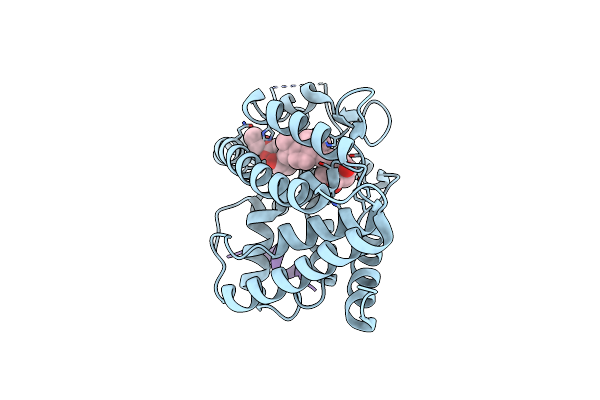 6T2M image