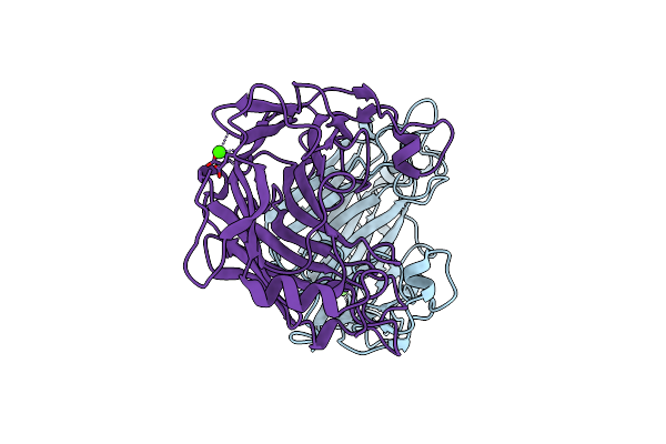 6T2N image