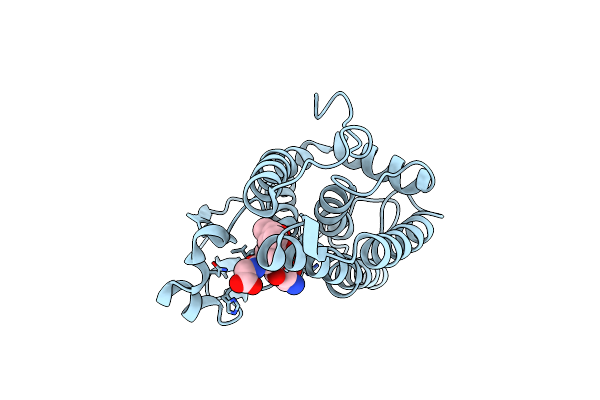 6T2T image