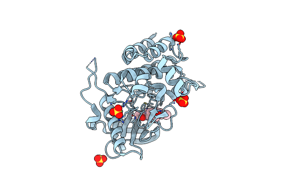 6T2W image
