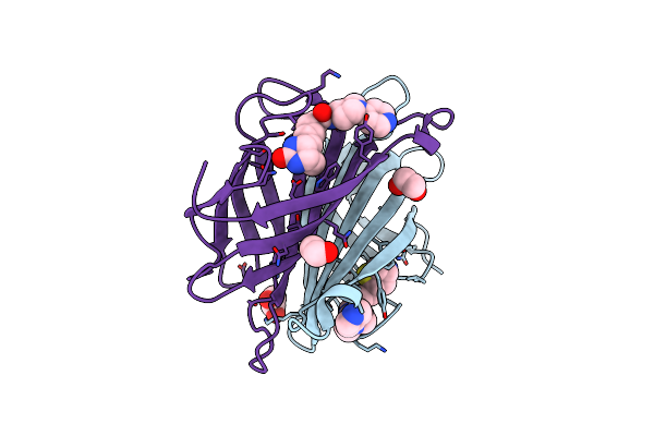6T2Y image