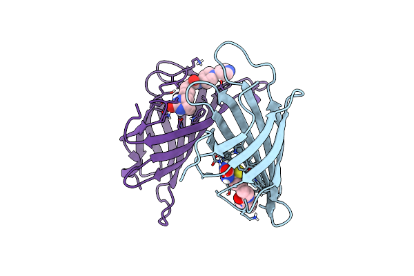 6T31 image