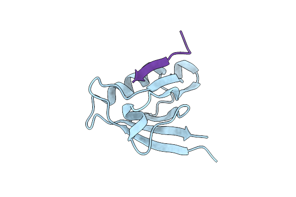 6T36 image