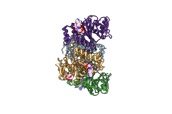 6T37 image