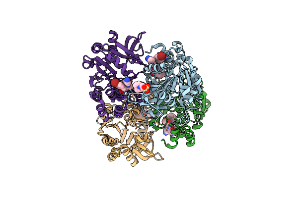 6T38 image