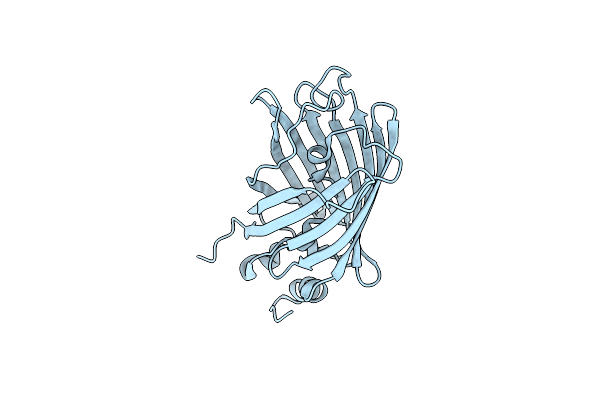 6T3A image