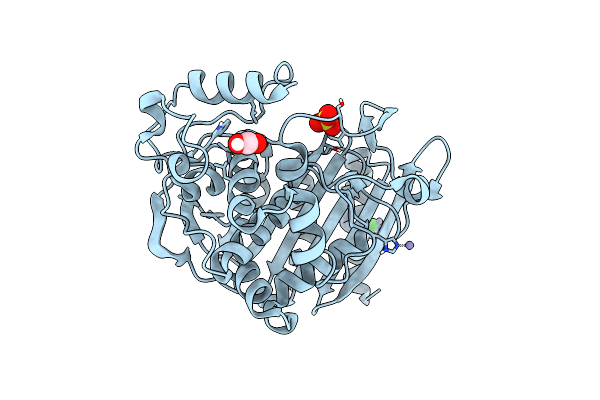 6T3D image
