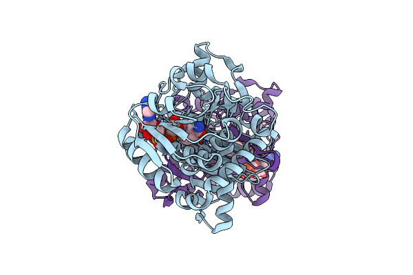 6T3E image