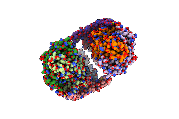 6T3J image