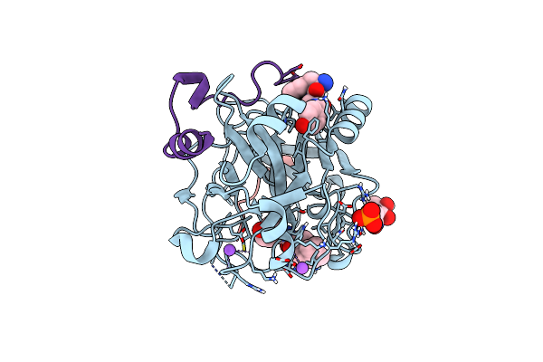 6T3M image