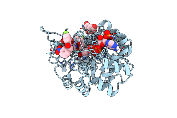 6T3P image